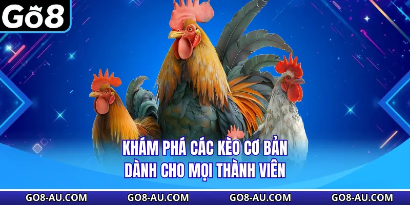 Khám phá các kèo cơ bản dành cho mọi thành viên