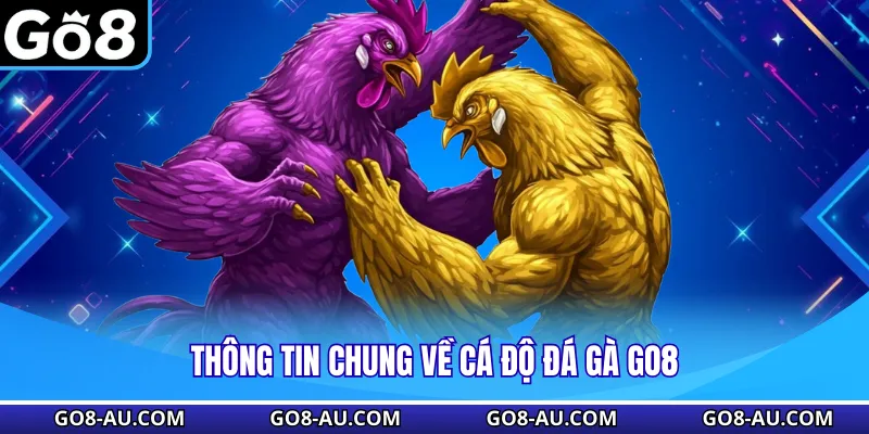 Thông tin chung về cá độ đá gà GO8
